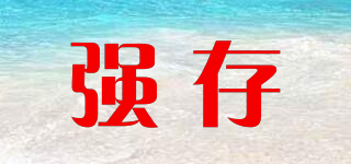 強(qiáng)存品牌logo