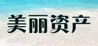 美麗資產(chǎn)品牌logo