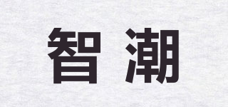 智潮品牌logo
