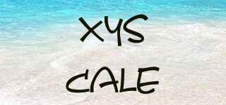 XYSCALE品牌logo