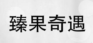 臻果奇遇品牌logo