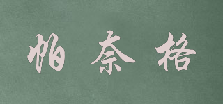 帕奈格品牌logo