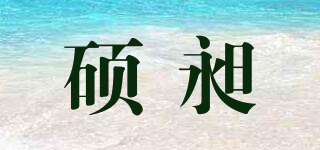 碩昶品牌logo