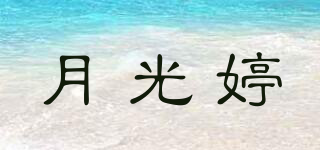 月光婷品牌logo
