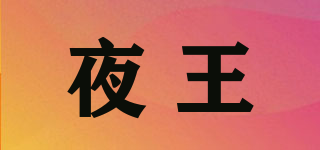 夜王品牌logo