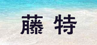 藤特品牌logo