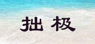 拙極品牌logo