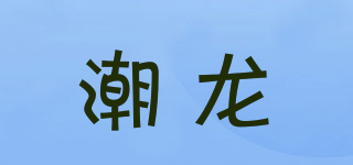 潮龍品牌logo