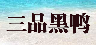 三品黑鴨品牌logo