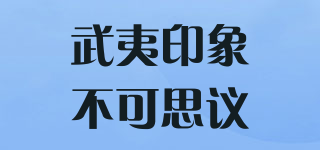 武夷印象不可思議品牌logo