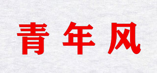 青年風(fēng)品牌logo