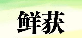 鮮獲品牌logo