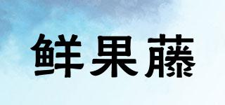 鮮果藤品牌logo