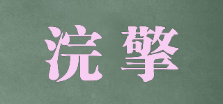 浣擎品牌logo
