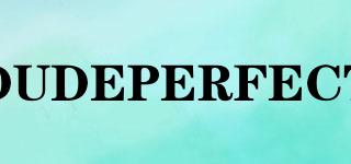 DUDEPERFECT品牌logo