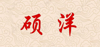 SUOYOUNG/碩洋品牌logo