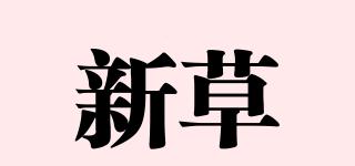 新草品牌logo
