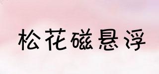 松花磁懸浮品牌logo