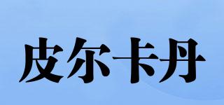 皮爾卡丹品牌logo