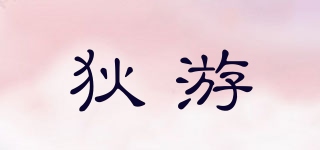 狄游品牌logo