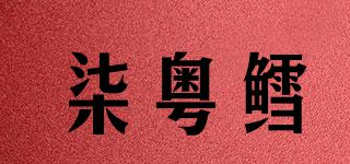 柒粵鱈品牌logo