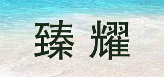 臻耀品牌logo