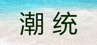 潮統(tǒng)品牌logo
