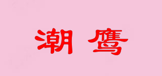 TIDE EAGLE/潮鷹品牌logo