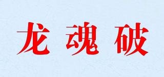 龍魂破品牌logo