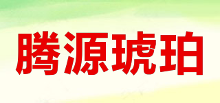 TENGYUAN AMBER/騰源琥珀品牌logo
