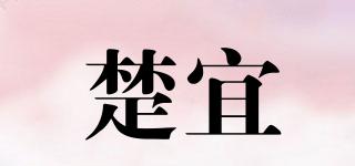 楚宜品牌logo