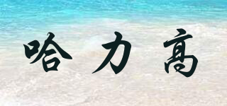 HALIGO/哈力高品牌logo
