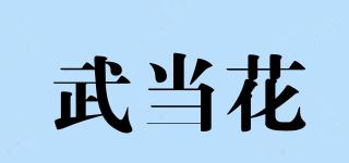 武當(dāng)花品牌logo