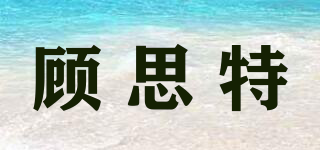 顧思特品牌logo