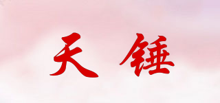 天錘品牌logo