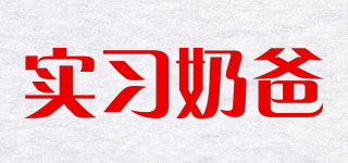 實(shí)習(xí)奶爸品牌logo
