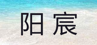 陽宸品牌logo