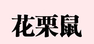 CHIPMUNKS/花栗鼠品牌logo