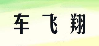 車飛翔品牌logo