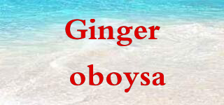 Ginger oboysa品牌logo