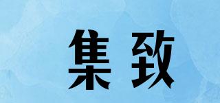 GIICARE/集致品牌logo