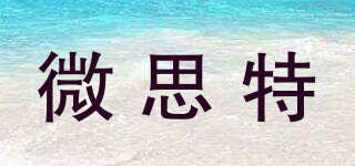 微思特品牌logo