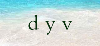 dyv品牌logo