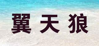 翼天狼品牌logo