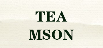 TEAMSON品牌logo