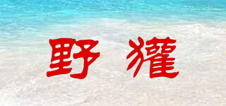 野獾品牌logo