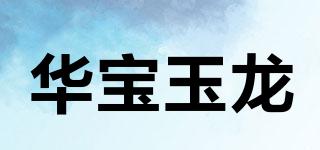 華寶玉龍品牌logo