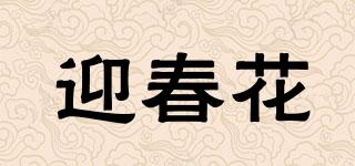 迎春花品牌logo