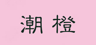 潮橙品牌logo