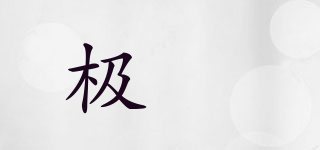 極垚品牌logo